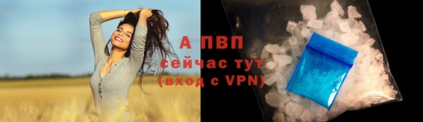 Альфа ПВП Баксан
