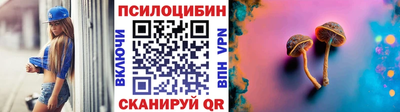Галлюциногенные грибы Cubensis  mega как зайти  Электросталь  что такое  